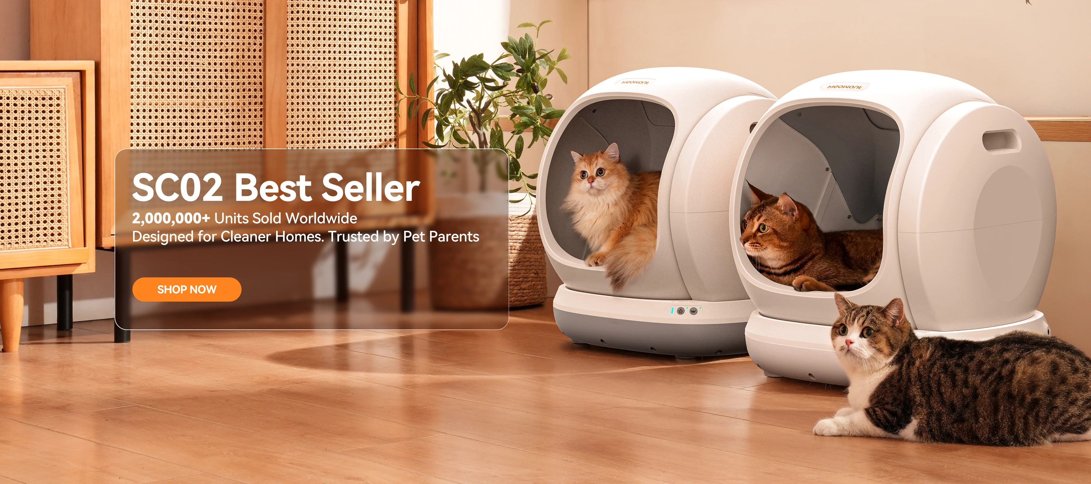 Smart Care for Happy Cats