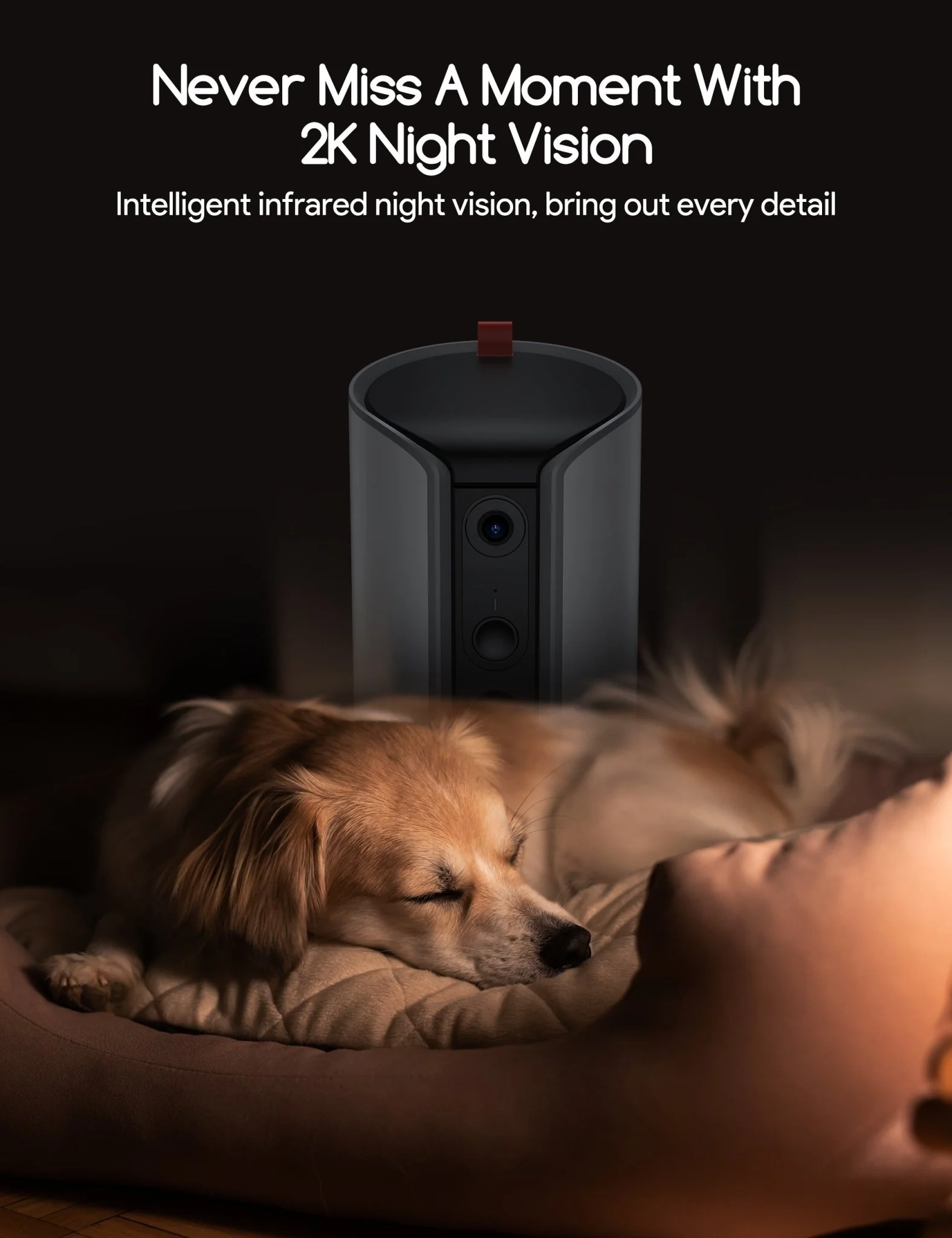 Meowant Dog Treat Dispenser with 2K Camera - Image 7